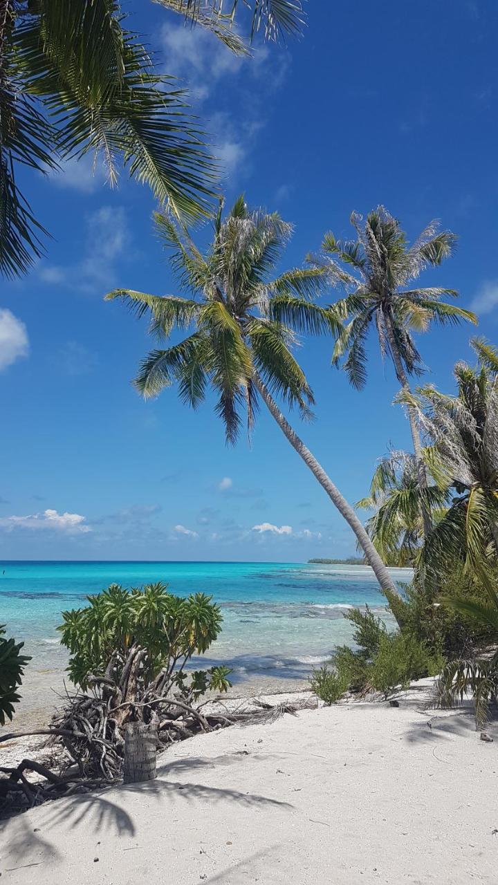 Chez Taia Et Vero Tiputa Buitenkant foto